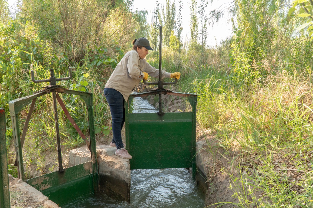 La única tomera en la Provincia de Mendoza