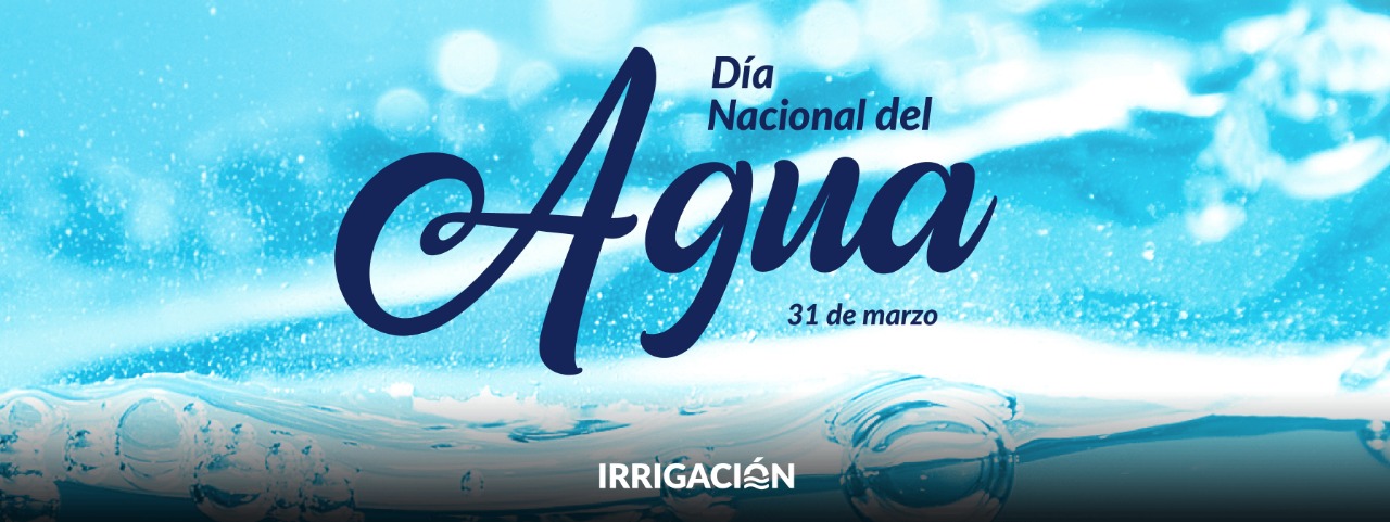 ¿Por qué celebramos el Día Nacional del Agua?