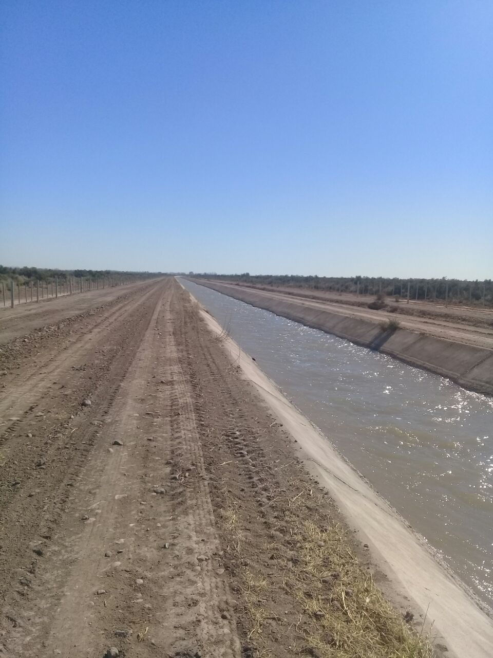 ¿Qué dice Irrigación sobre el agua?