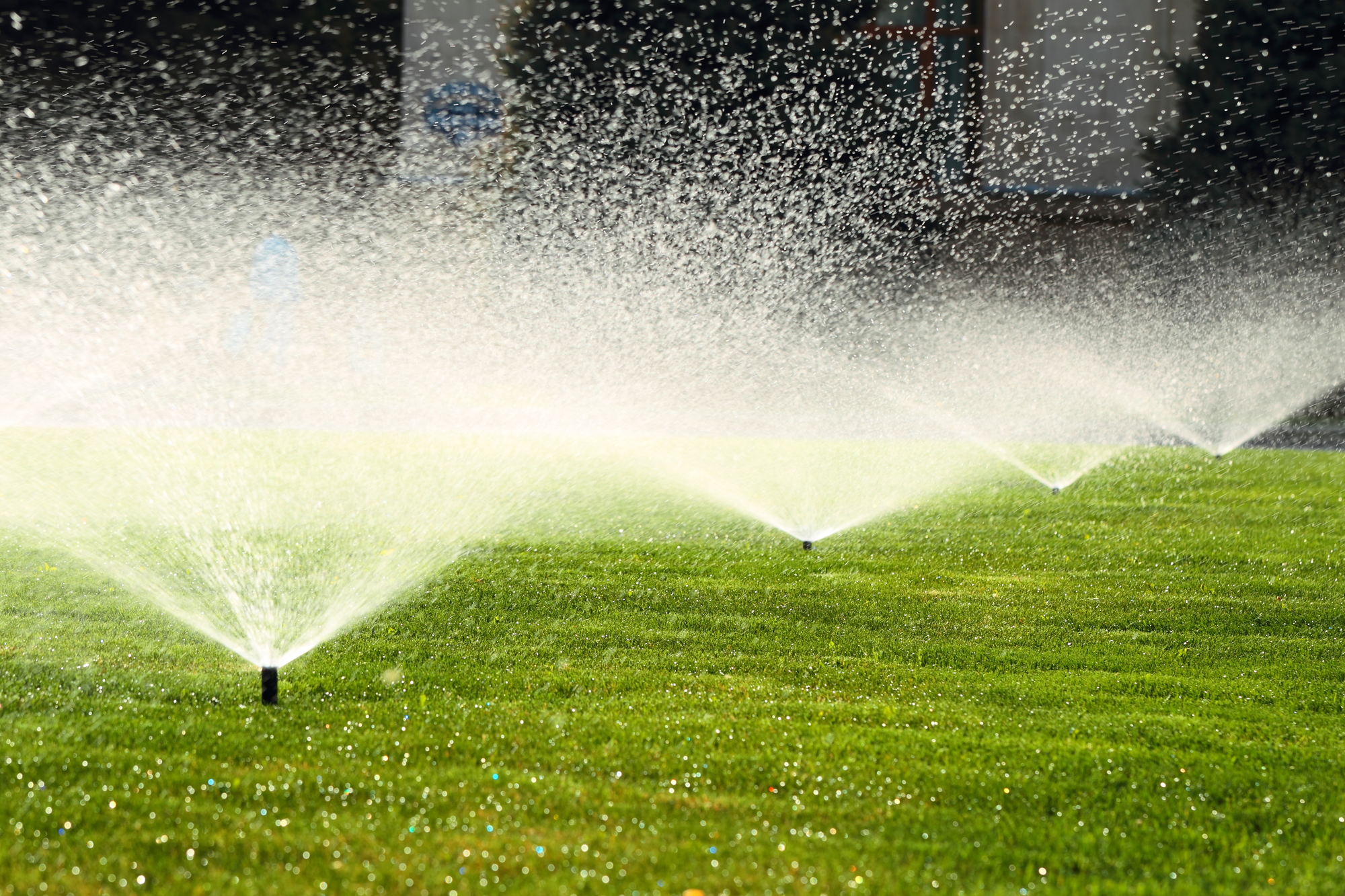 “Uso recreativo urbano” para desalentar el uso de agua potable