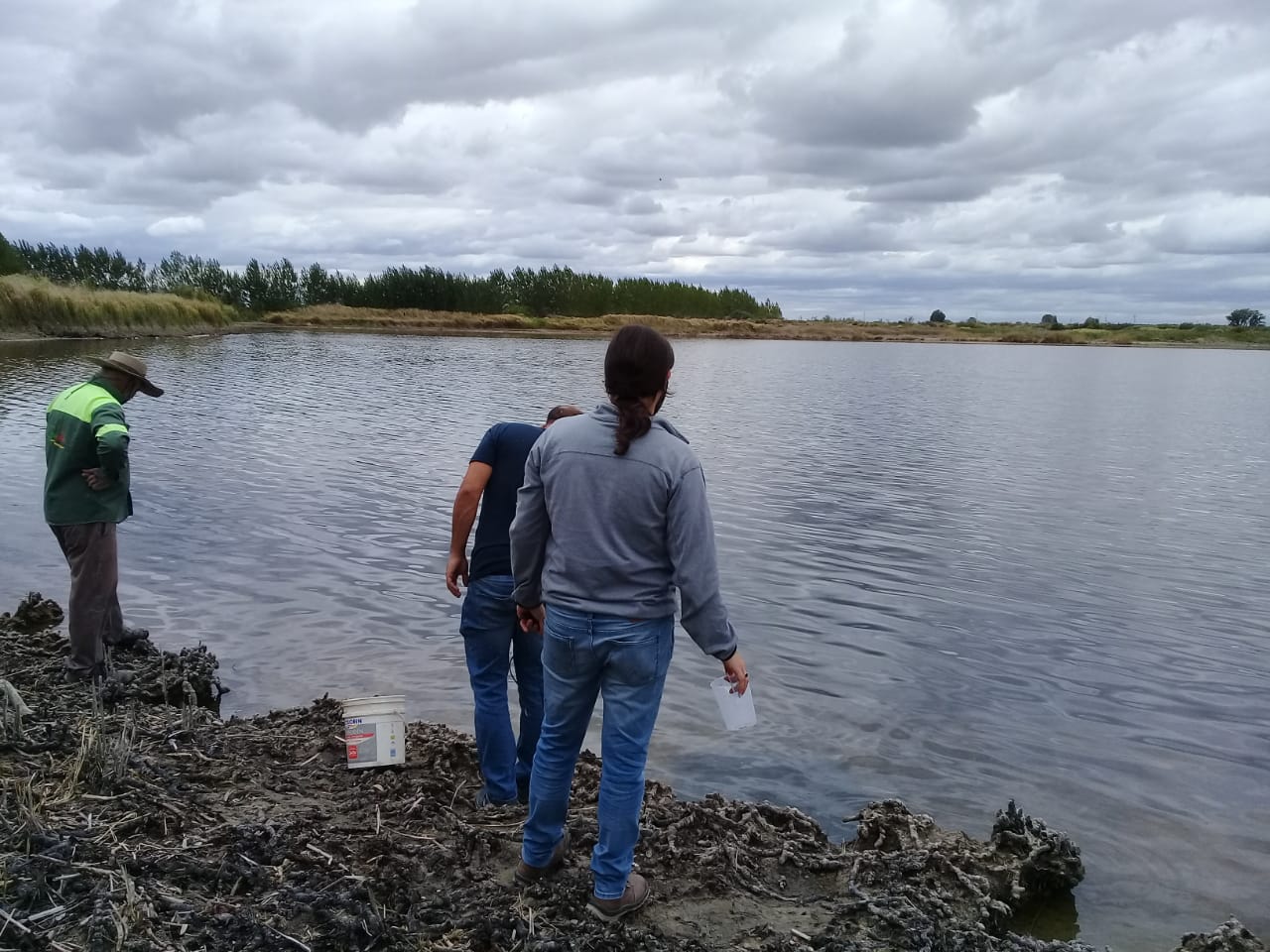 Irrigación tomó muestras en la laguna donde aparecieron peces muertos