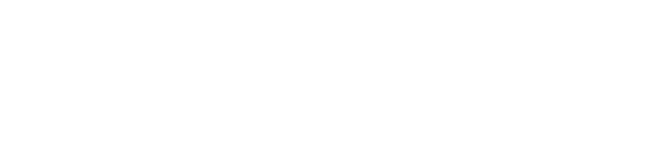 DGI-WEB